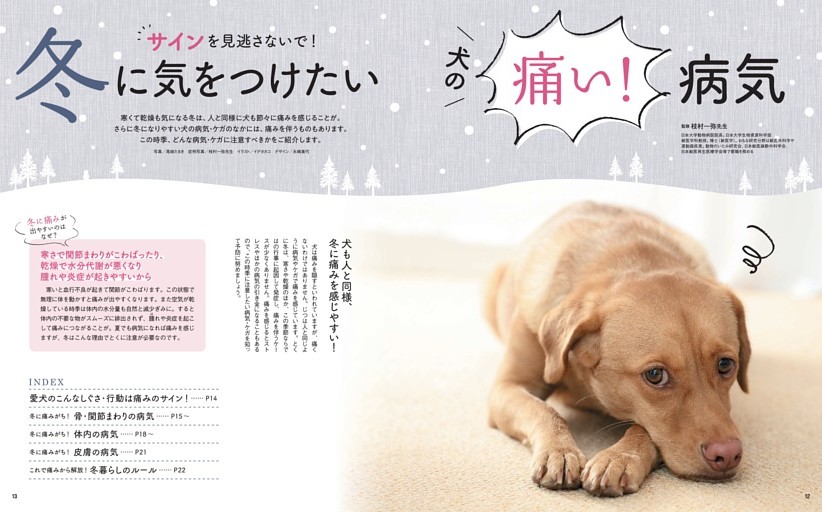 サインを見逃さないで！　冬に気をつけたい犬の痛い！ 病気