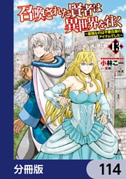 召喚された賢者は異世界を往く　～最強なのは不要在庫のアイテムでした～【分冊版】　114