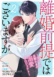 離婚前提ではございますが～エリート旦那さまの溺愛プロジェクト～ 2巻