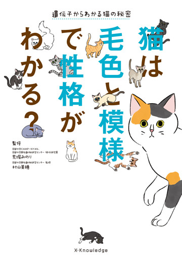 猫は毛色と模様で性格がわかる？