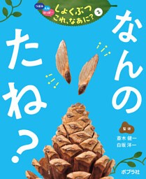 なんの　たね？２　つぼみ・たね・はっぱ・・・　しょくぶつ　これ、なあに？