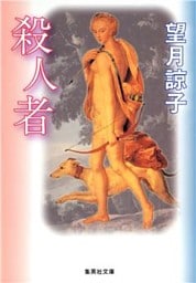 殺人者（木部美智子シリーズ）