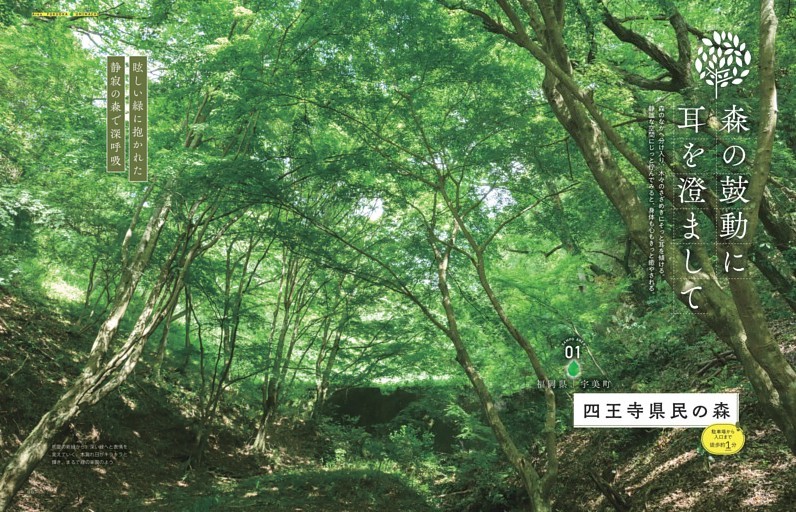 森の鼓動に耳を澄まして 四王寺県民の森