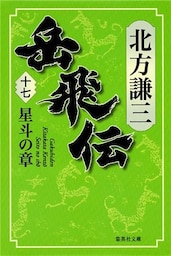 岳飛伝　十七　星斗の章