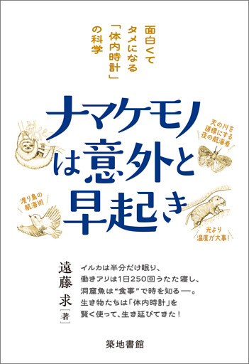 ナマケモノは意外と早起き