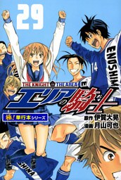 エリアの騎士【極！単行本シリーズ】29巻
