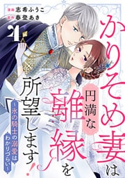 かりそめ妻は円満な離縁を所望します!～氷の騎士の溺愛はわかりづらい～ 4巻