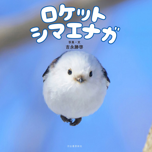 ロケットシマエナガ