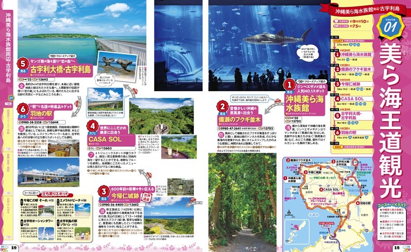沖縄美ら海水族館周辺・古宇利島／01美ら海王道観光
