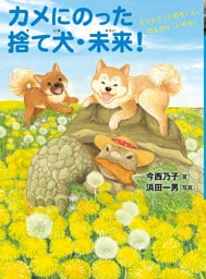 カメにのった捨て犬・未来！