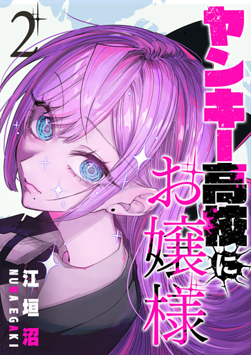 ヤンキー高校にお嬢様（２）