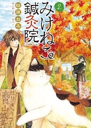 みけねこ鍼灸院 / 2