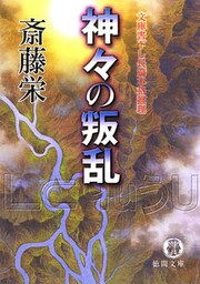 神々の叛乱＜新装版＞