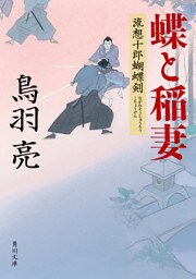 蝶と稲妻　流想十郎蝴蝶剣