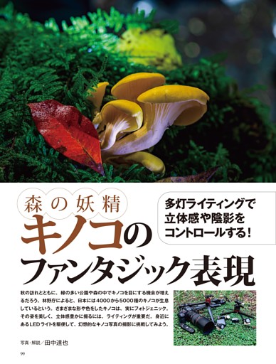 前田麻里、「月から聞いたお話」、希少画集の額装画、四季、風景、人気作品 前田麻里個展鑑賞記 2023・9・21 | 創展ギャラリー1
