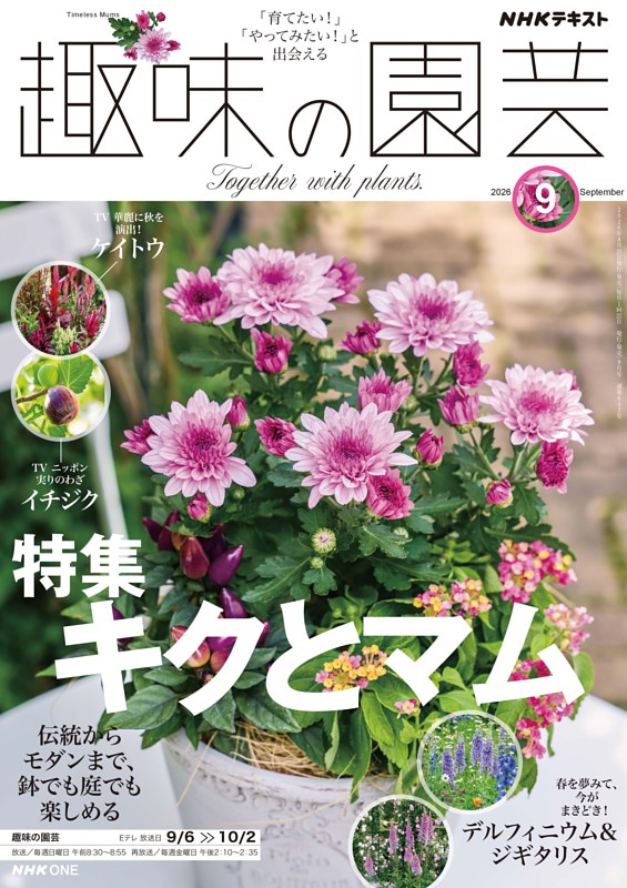NHK 趣味の園芸 2026年9月号