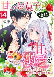 甘いお菓子の後は甘い溺愛を～婚約破棄された令嬢は辺境伯子息に溺愛される～（14）