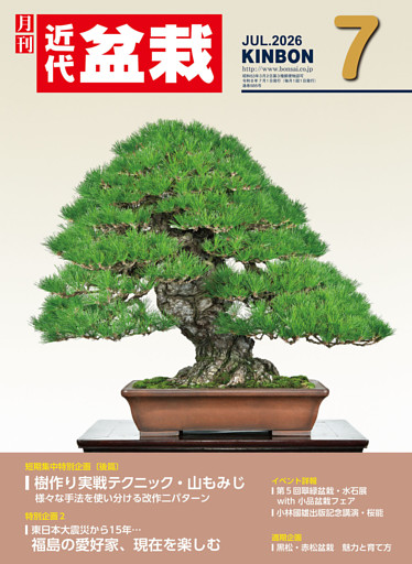 近代盆栽