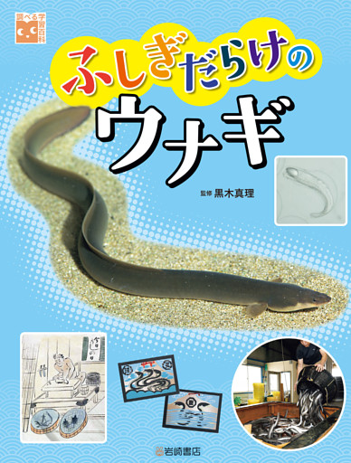 ふしぎだらけのウナギ