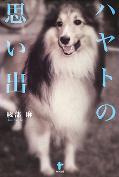 ハヤトの思い出