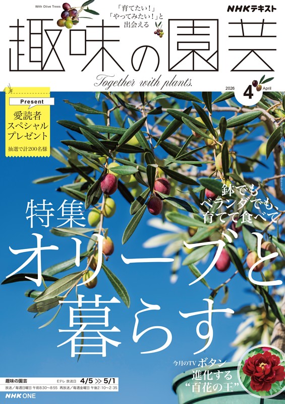 NHK 趣味の園芸 2026年4月号