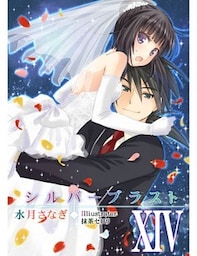 シルバーブラスト　XIV