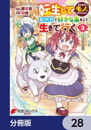 転生してあらゆるモノに好かれながら異世界で好きな事をして生きて行く【分冊版】　28