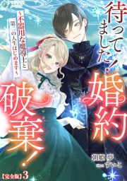 待ってました！婚約破棄！～不器用な魔導士と第二の人生はじめます～【完全版】3