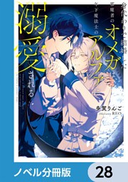 身代わりで結婚した邪魔者のオメガは、年下魔法士のアルファに溺愛される【ノベル分冊版】　28