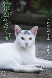 猫に会いたくて ご町内のみなさん、こんにちわ