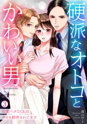 硬派なオトコとかわいい男～恋愛ベタなOLは今日も翻弄されてます～(3)