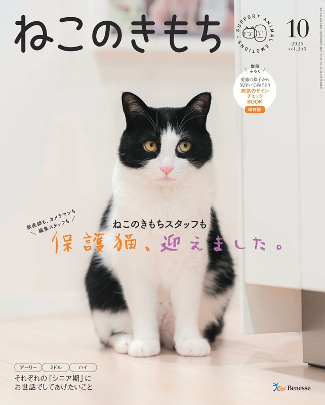 猫のきもち キモチ / ネコのきもち ホットアイマスクアソートセットの公式