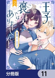 王子様、これはご褒美ではありません！【分冊版】　11