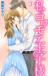 私のコワモテ王子様 3