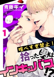 喰べすぎ禁止！～拾った男はインキュバス！？～(1)
