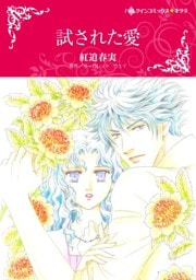 試された愛【分冊】 12巻