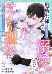 Berry’sFantasy黒騎士様から全力で溺愛されていますが、すごもり聖女は今日も引きこもりたい！2巻