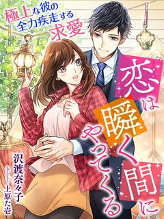 恋は瞬く間にやってくる～極上な彼の全力疾走する求愛～