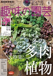 NHK 趣味の園芸 2023年1月号