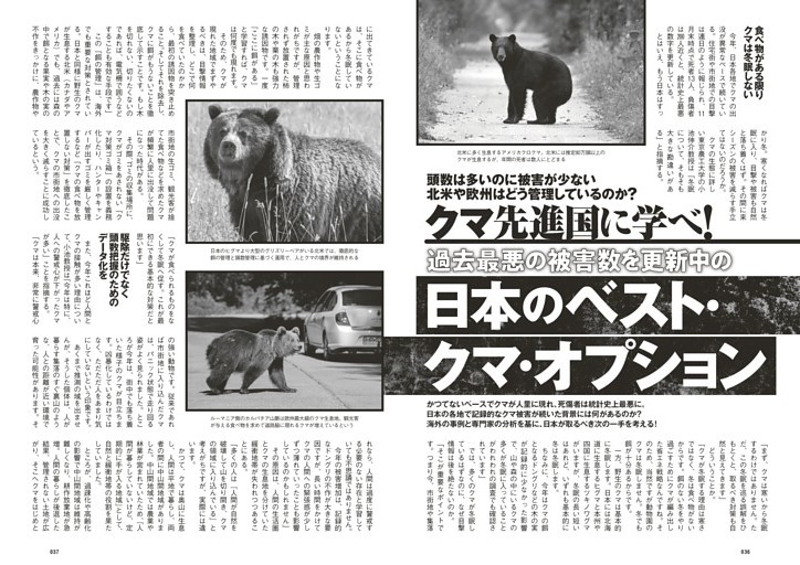クマ先進国に学べ！過去最悪の被害数を更新中の日本のベスト・クマ・オプション