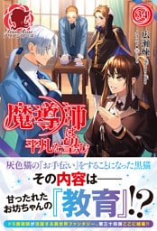 【電子限定版】魔導師は平凡を望む　34