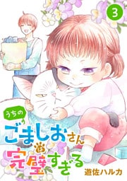 うちのごましおさんは完璧すぎる【分冊版】　3