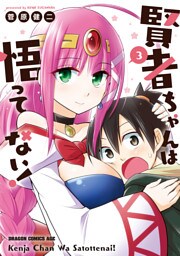 賢者ちゃんは悟ってない!(3)