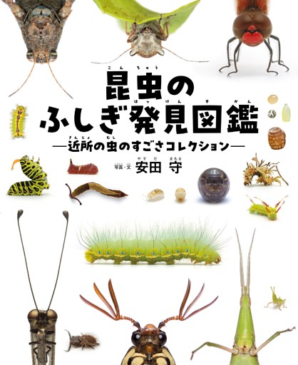昆虫のふしぎ発見図鑑 近所の虫のすごさコレクション