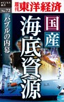 国産海底資源　バブルの内幕―週刊東洋経済eビジネス新書No.72