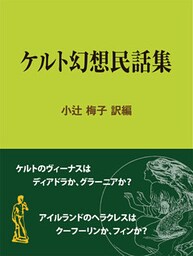 ケルト幻想民話集