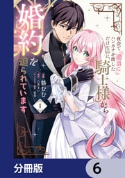夜会で『適当に』ハンカチを渡しただけなのに、騎士様から婚約を迫られています【分冊版】　6