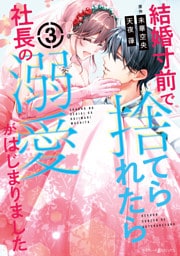 結婚寸前で捨てられたら社長の溺愛がはじまりました3