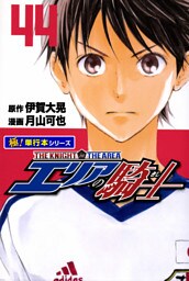 エリアの騎士【極！単行本シリーズ】44巻