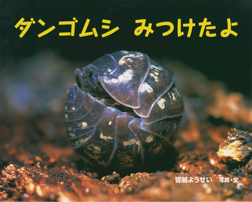 ダンゴムシ　みつけたよ